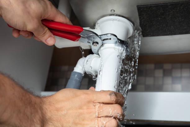 Best Flooded house restoration  in Palouse, WA