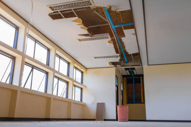 Reliable Palouse, WA Water damage restoration Solutions
