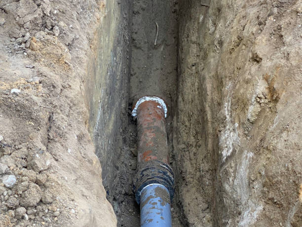 Best Flood restoration services  in Palouse, WA