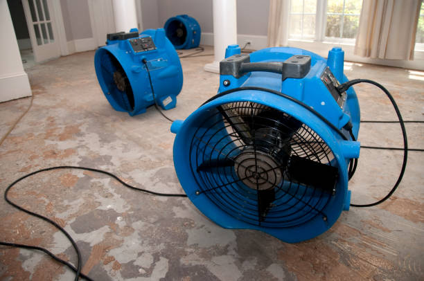 Best Emergency water extraction  in Palouse, WA