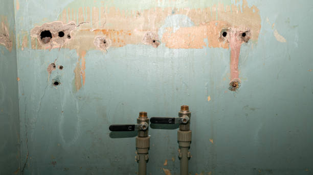 Best Flooded house restoration  in Palouse, WA