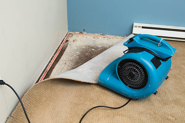 Best Basement water damage restoration  in Palouse, WA
